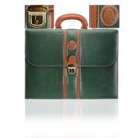 Tango Print Green File Case