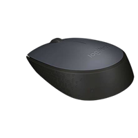 Logitech M-171 Wireless Optical Mouse