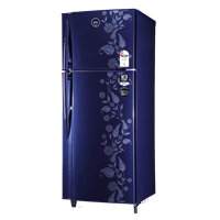 Godrej 255 L 2 Star Inverter Frost-Free Double Door Refrigerator