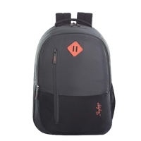 Skybags Arthur 30 L Laptop Backpack (Grey), Free Size