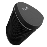 Boat Stone 170 With 5W Speaker Bluetooth V4.2 And A Sd Card Slot