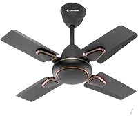 Candes Brio Turbo 600 mm Anti Dust 4 Blade Ceiling Fan