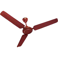 Polar Payton 1200 mm 3 Blade Ceiling Fan