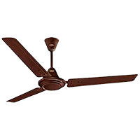 Polar Winchester 1200 mm 3 Blade Ceiling Fan