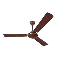 Relaxo Lovely Sweep 1200 mm 3 Blade Ceiling Fan
