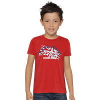 Boys Red & Blue Printed Round Neck T-Shirt
